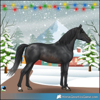 Horse Color:Brown 