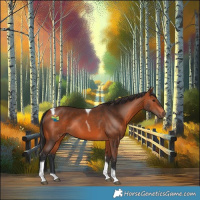 Horse Color:Brown Tobiano Rabicano