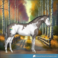 Horse Color:Smoky Grullo Splash Frame Rabicano