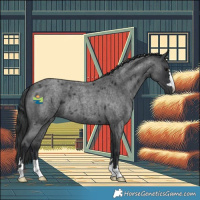 Horse Color:Blue Roan 