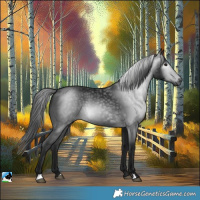 Horse Color:Gray Black 