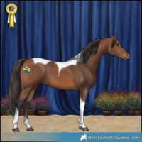 Horse Color:Bay Tobiano