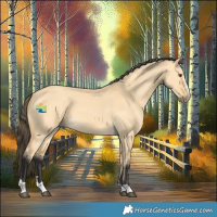 Horse Color:Buckskin Dun 