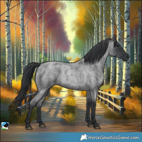 Horse Color:Blue Roan