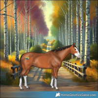 Horse Color:White Spotted Bay Splash Rabicano 