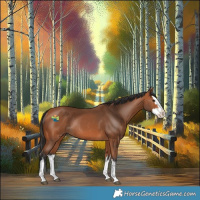 Horse Color:White Spotted Bay Splash Rabicano 