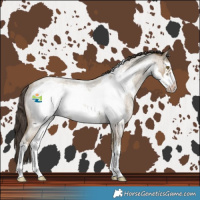 Horse Color:White Spotted Classic Cream Champagne Roan Frame Rabicano 