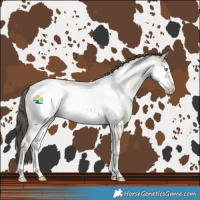 Horse Color:White Spotted Classic Cream Champagne Roan Dun Frame Rabicano 