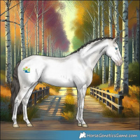 Horse Color:White Spotted Classic Cream Champagne Roan Dun Frame Rabicano