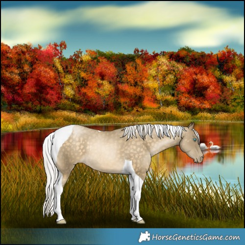 Horse Color:Silver Buckskin Pearl Tobiano Rabicano 