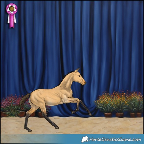 Horse Color:Buckskin Dun Rabicano