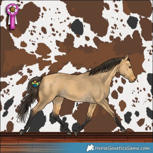 Horse Color:Buckskin Dun Rabicano 