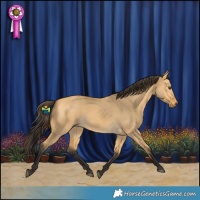 Horse Color:Buckskin Dun Rabicano