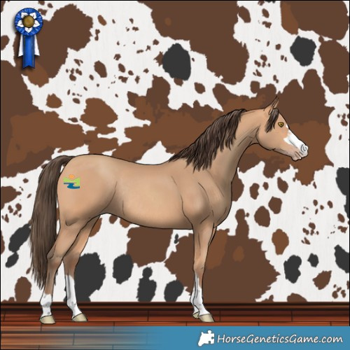 Horse Color:Amber Champagne Rabicano 