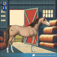 Horse Color:Amber Champagne Rabicano 