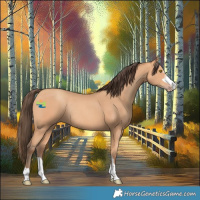 Horse Color:Amber Champagne Rabicano 