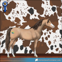 Horse Color:Amber Champagne Rabicano 