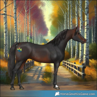 Horse Color:Bay Rabicano 