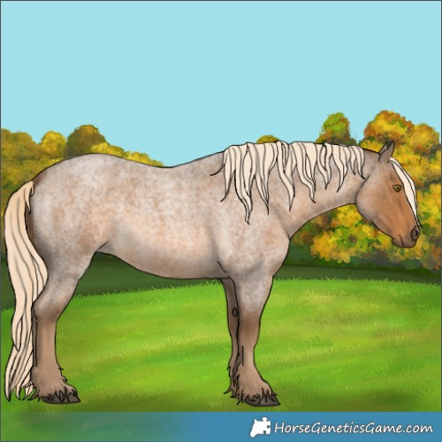 Horse Color:Chocolate Palomino Roan 