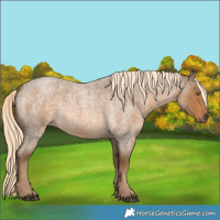 Horse Color:Chocolate Palomino Roan 