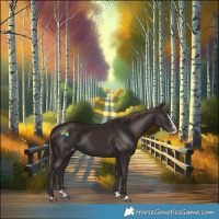 Horse Color:Liver Chestnut Splash Appaloosa Rabicano 