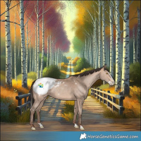 Horse Color:Amber Champagne Splash Appaloosa Rabicano 