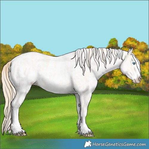 Horse Color:White Spotted Perlino Dun Rabicano  and White Spotted Perlino Dun Rabicano 