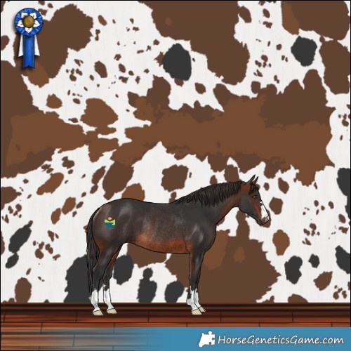 Horse Color:Brown Rabicano 