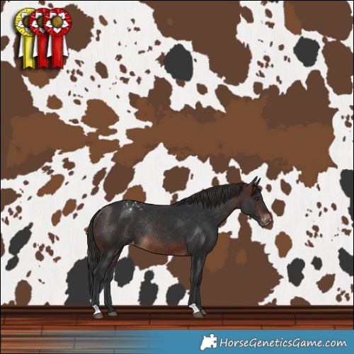 Horse Color:Brown Varnish Rabicano 