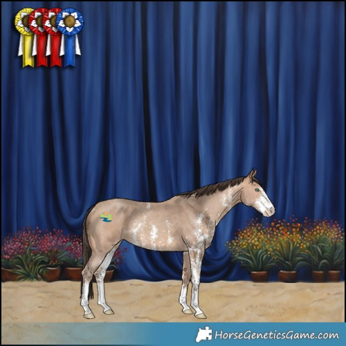 Horse Color:Amber Champagne Sabino Rabicano 