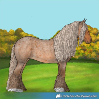 Horse Color:Chocolate Palomino Roan