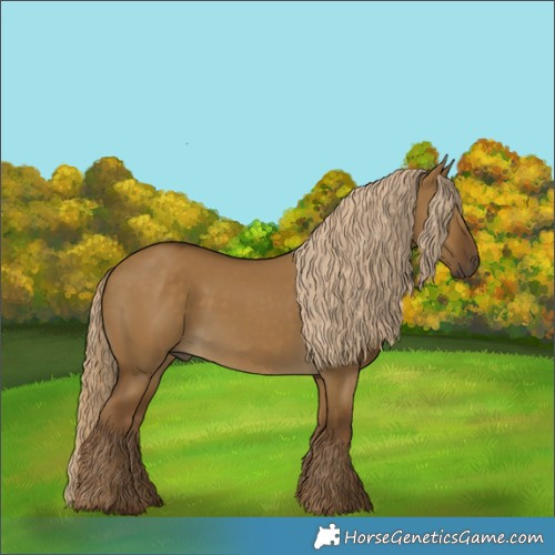 Horse Color:Chocolate Palomino Dun Rabicano 