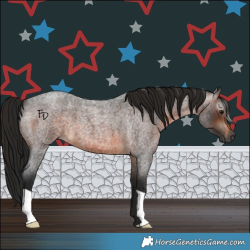 Horse Color:Gray Brown Roan 