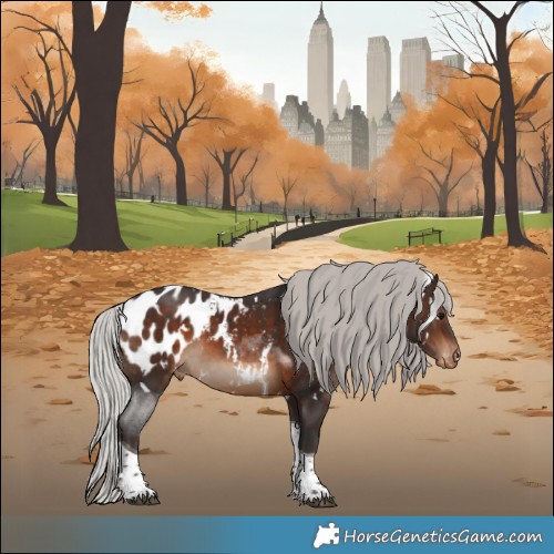 Horse Color:White Spotted Silver Brown Tobiano Appaloosa