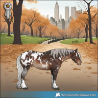 Horse Color:White Spotted Silver Brown Tobiano Appaloosa