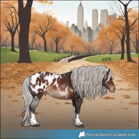 Horse Color:White Spotted Silver Brown Tobiano Appaloosa 