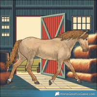 Horse Color:Red Dun 