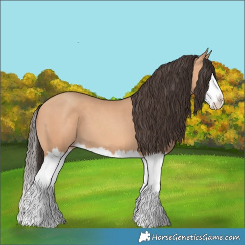 Horse Color:Amber Champagne Splash