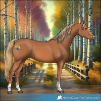 Horse Color:Chestnut 