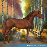 Horse Color:Chestnut 