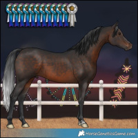 Horse Color:Brown 