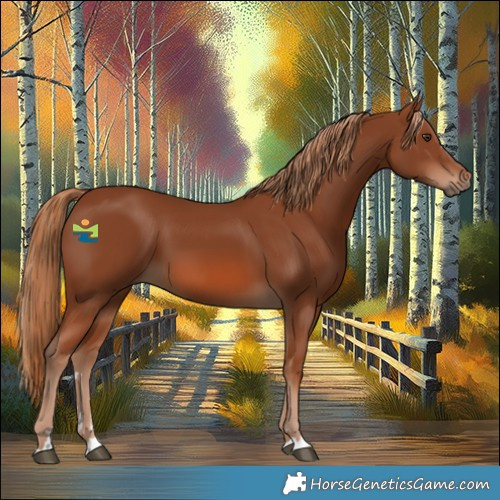Horse Color:Chestnut 