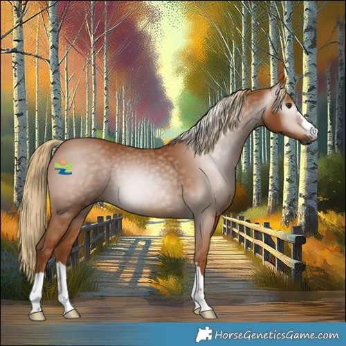 Horse Color:Gray Chestnut