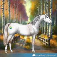 Horse Color:Gray Chestnut 