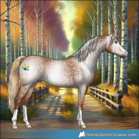 Horse Color:Gray Chestnut 