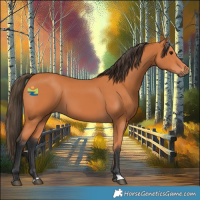 Horse Color:Bay 