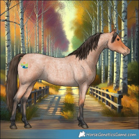 Horse Color:Bay Roan 