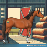 Horse Color:Bay Tobiano Rabicano 