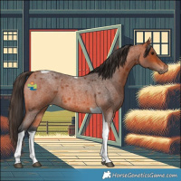 Horse Color:Bay Roan Tobiano 