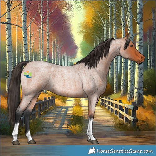 Horse Color:Bay Roan Tobiano